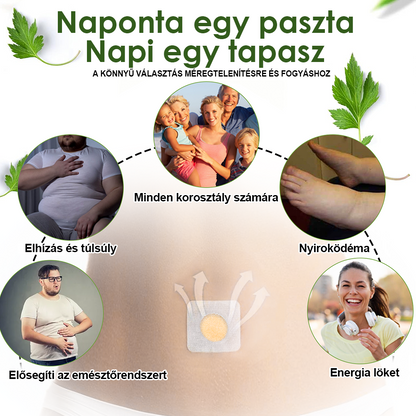 🌞🐝𝐙𝐕𝐋𝐙𝐕𝐋™ Méhméreg Nyiroklevezető karcsúsító tapasz🔥Korlátozott ideig 80% KEDVEZMÉNY🔥（Minden korosztály számára alkalmas)